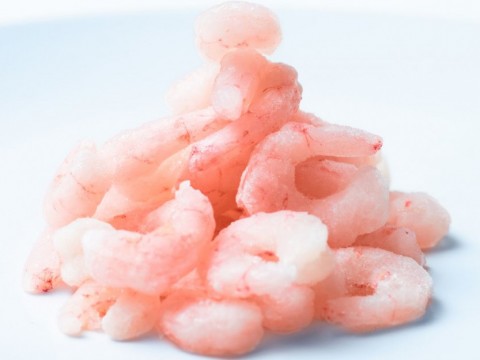 Cold Water Prawns